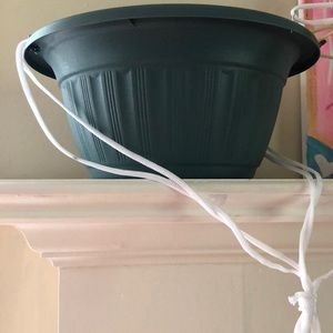 Plant hang pot